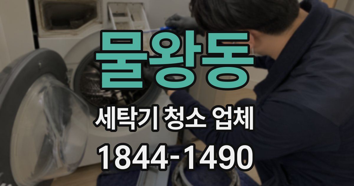 물왕동 세탁기 청소 업체