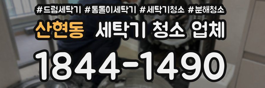 산현동 세탁기 청소 업체
