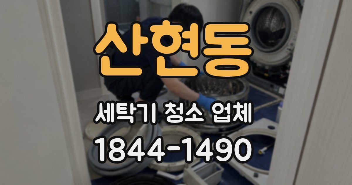 산현동 세탁기 청소 업체