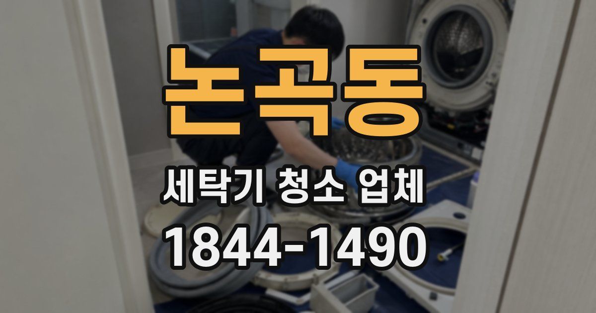 논곡동 세탁기 청소 업체