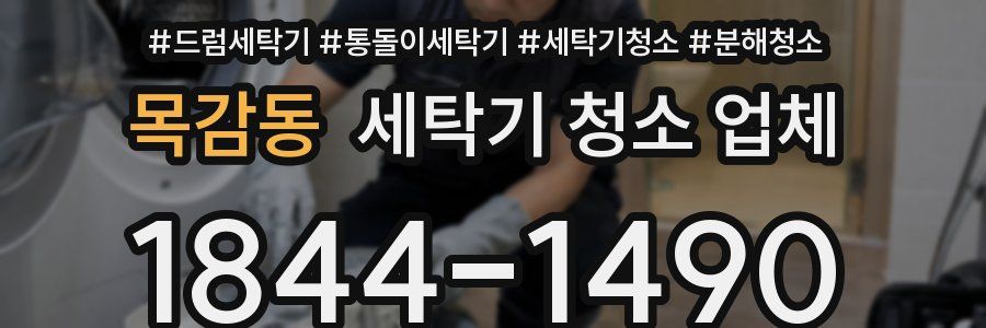 목감동 세탁기 청소 업체