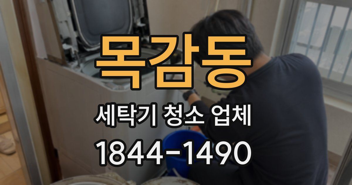 목감동 세탁기 청소 업체