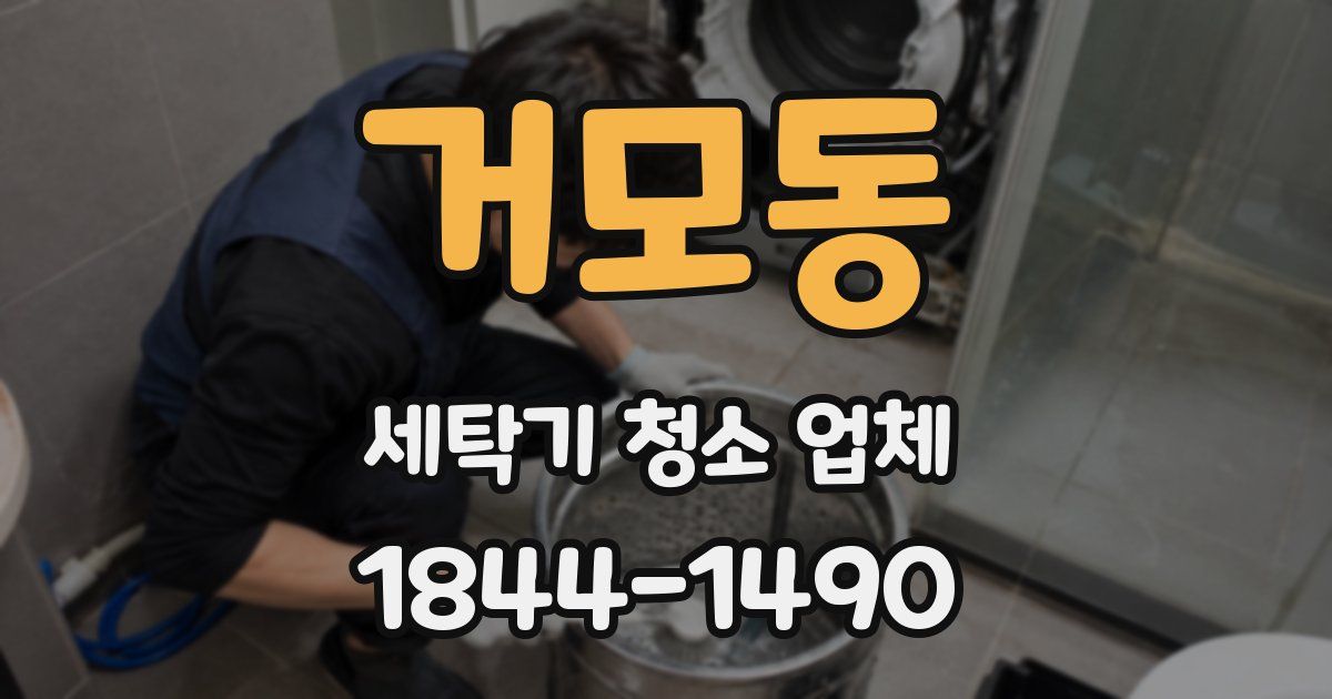 거모동 세탁기 청소 업체