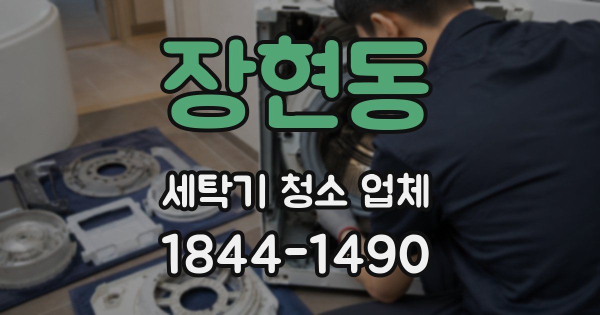 장현동 세탁기 청소 업체