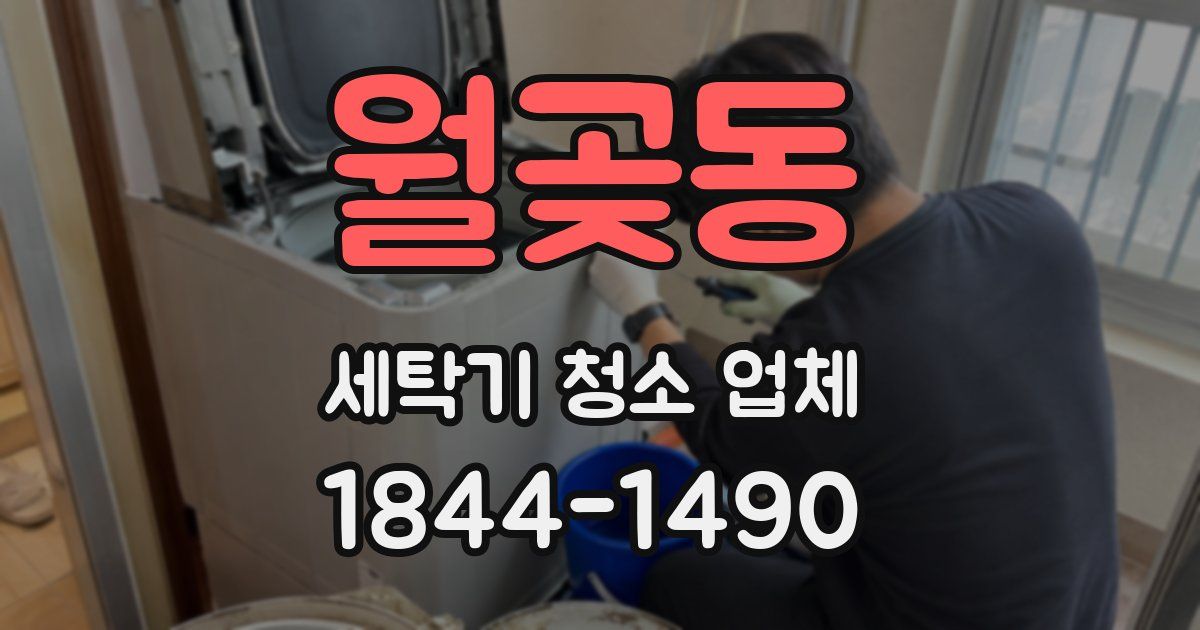 월곶동 세탁기 청소 업체