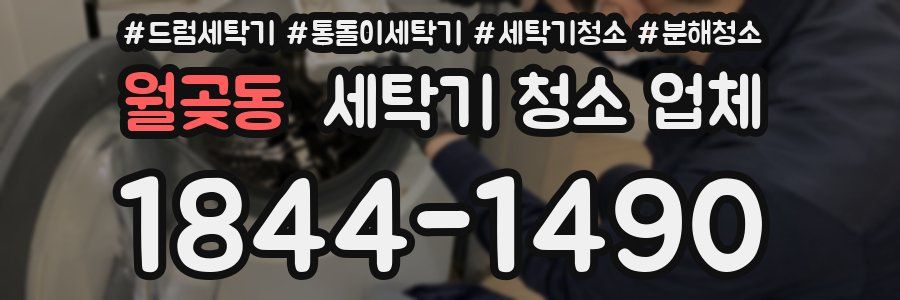 월곶동 세탁기 청소 업체
