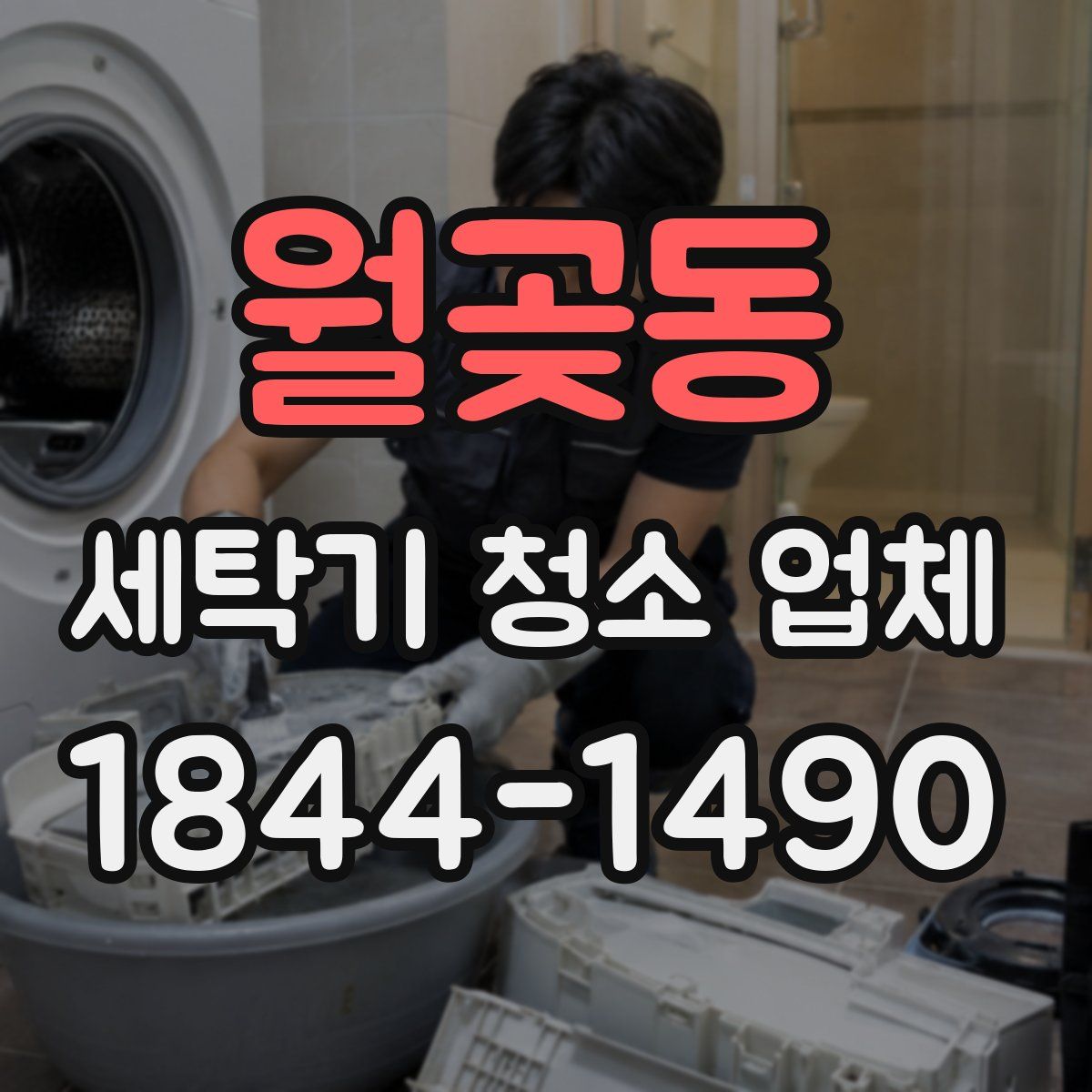 월곶동 세탁기 청소 업체