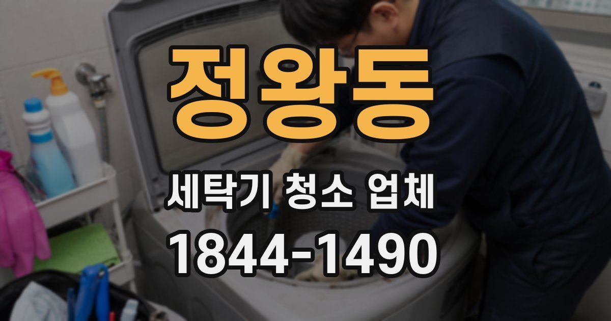 정왕동 세탁기 청소 업체