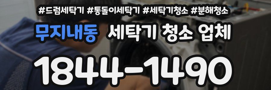 무지내동 세탁기 청소 업체