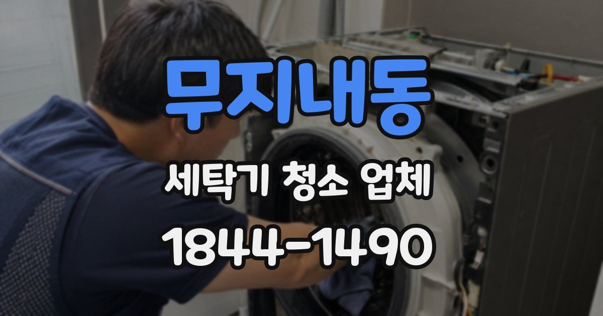 무지내동 세탁기 청소 업체