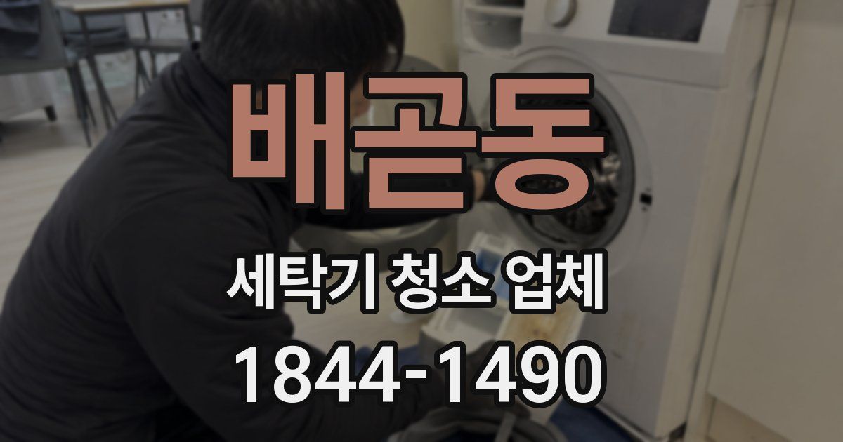 배곧동 세탁기 청소 업체