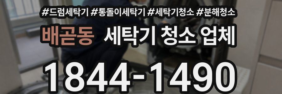배곧동 세탁기 청소 업체