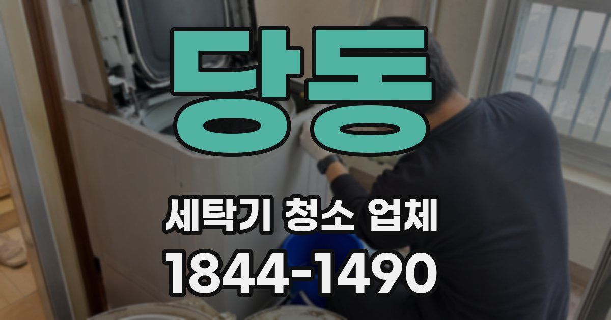 당동 세탁기 청소 업체