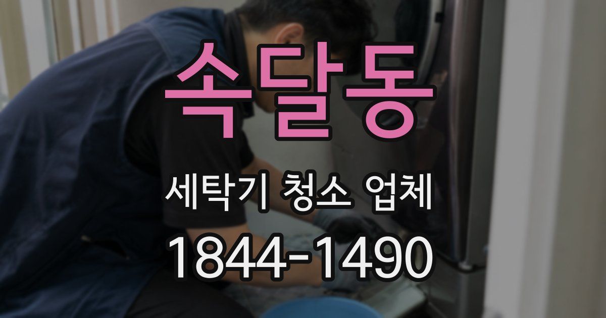 속달동 세탁기 청소 업체