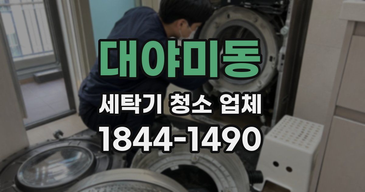 대야미동 세탁기 청소 업체