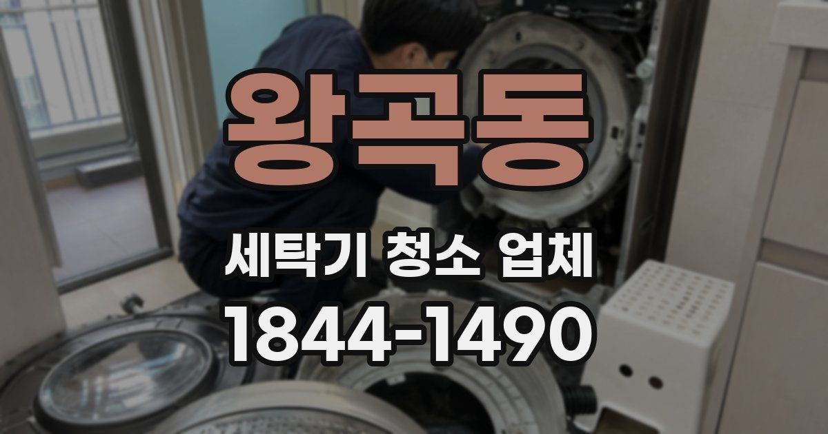 왕곡동 세탁기 청소 업체