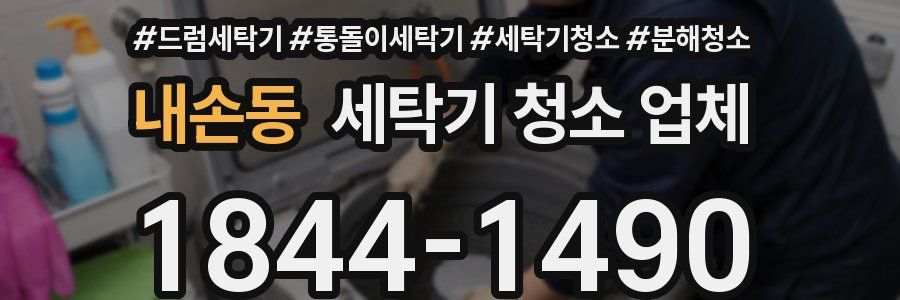 내손동 세탁기 청소 업체