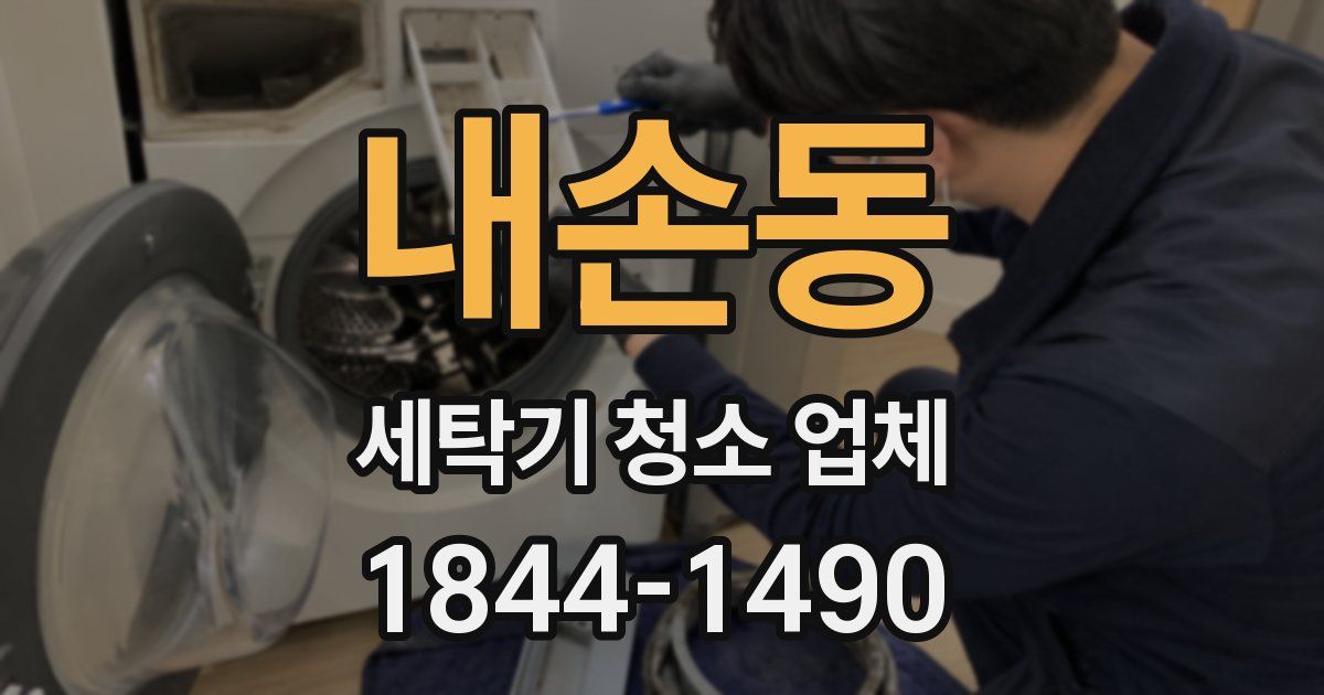 내손동 세탁기 청소 업체