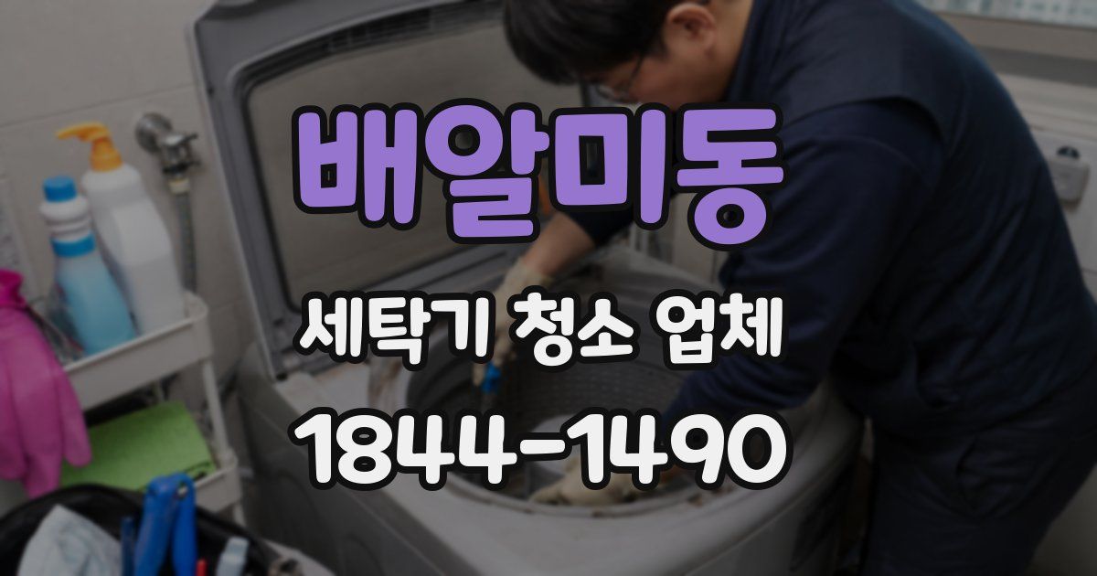 배알미동 세탁기 청소 업체