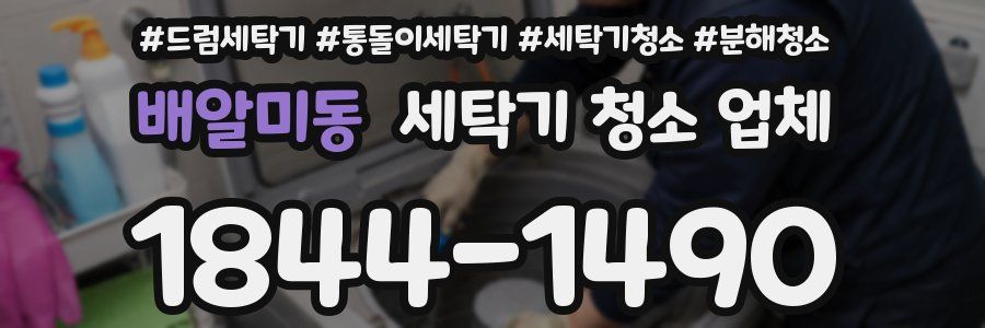 배알미동 세탁기 청소 업체