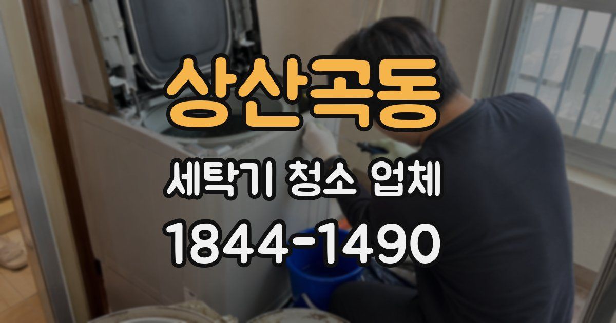 상산곡동 세탁기 청소 업체