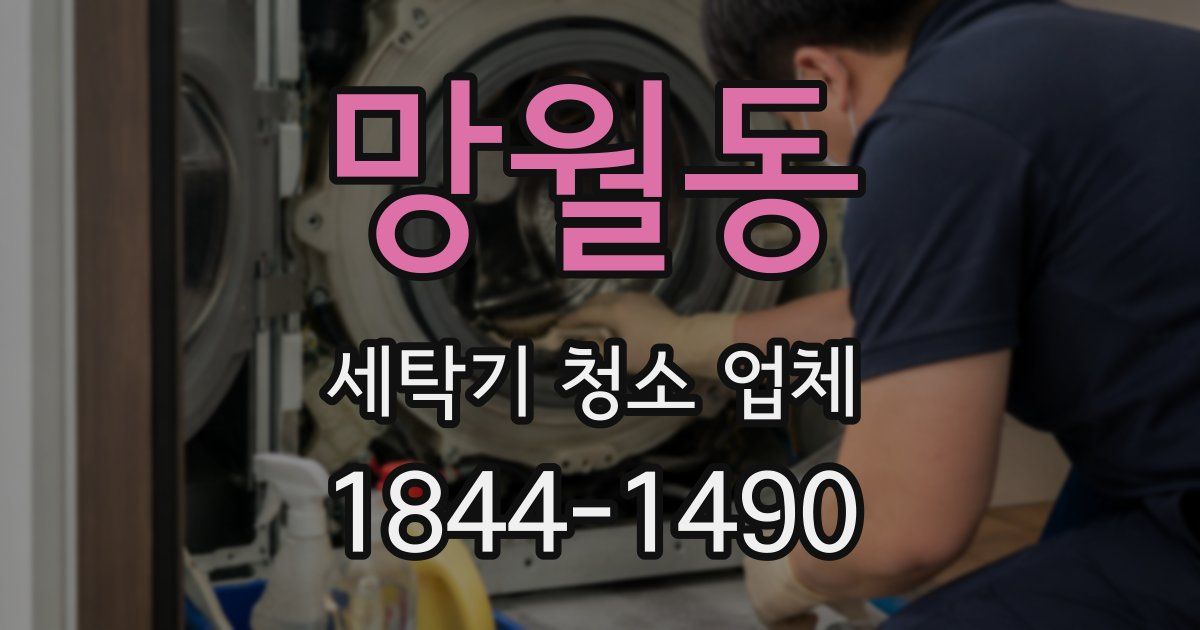 망월동 세탁기 청소 업체