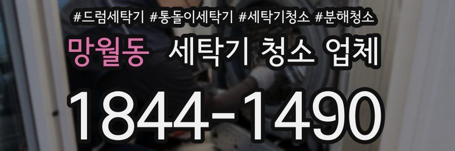 망월동 세탁기 청소 업체