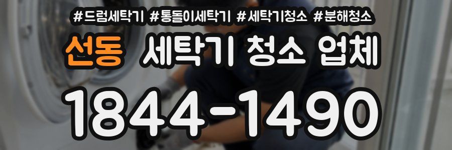 선동 세탁기 청소 업체