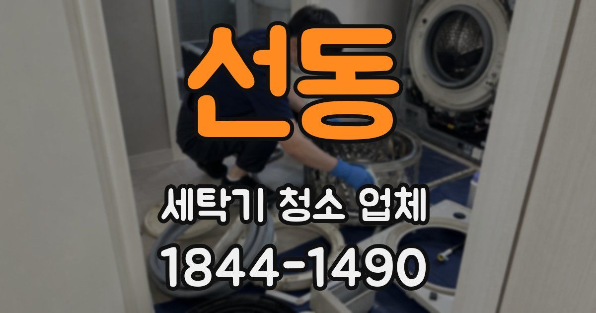 선동 세탁기 청소 업체