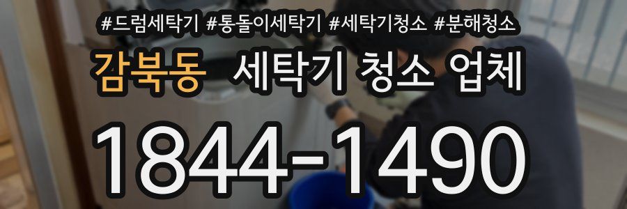 감북동 세탁기 청소 업체