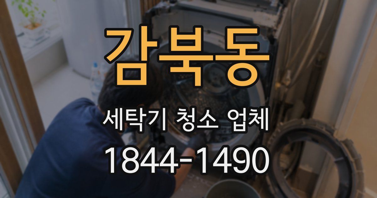 감북동 세탁기 청소 업체