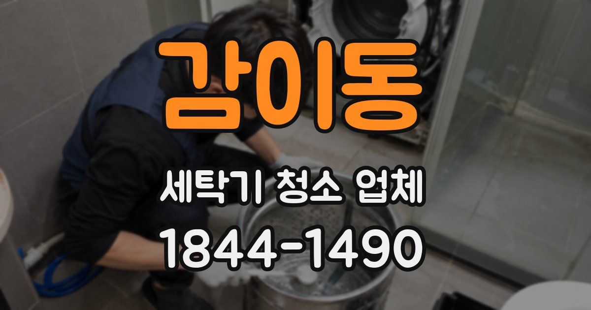 감이동 세탁기 청소 업체