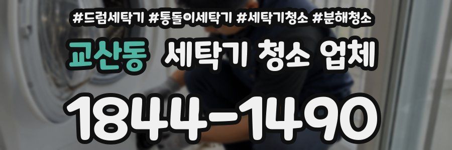 교산동 세탁기 청소 업체
