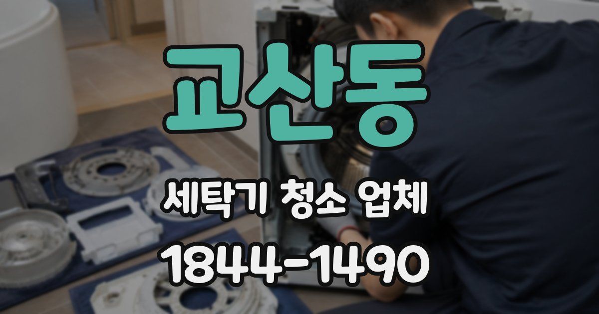교산동 세탁기 청소 업체