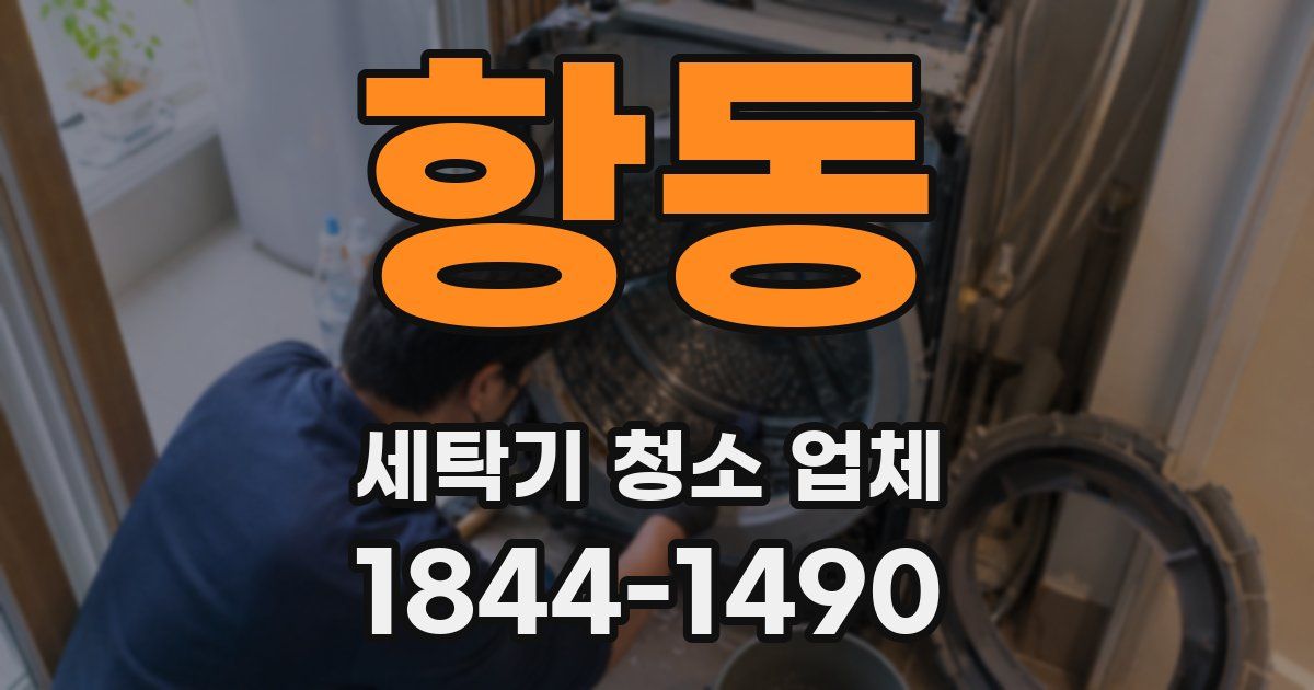 항동 세탁기 청소 업체