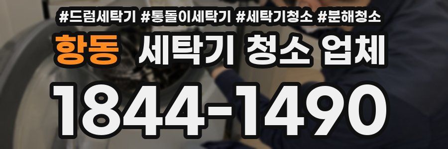 항동 세탁기 청소 업체