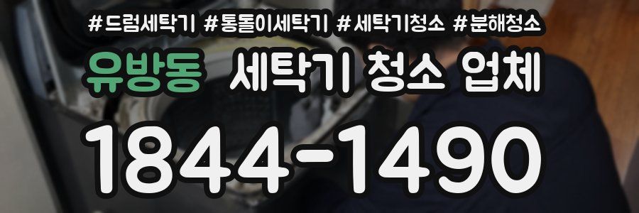 유방동 세탁기 청소 업체