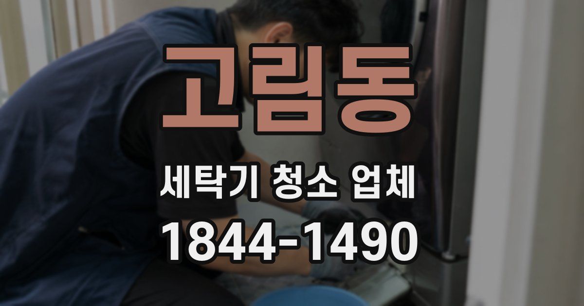 고림동 세탁기 청소 업체