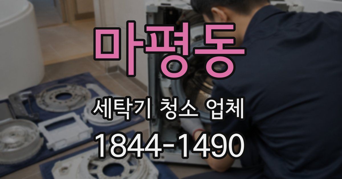 마평동 세탁기 청소 업체