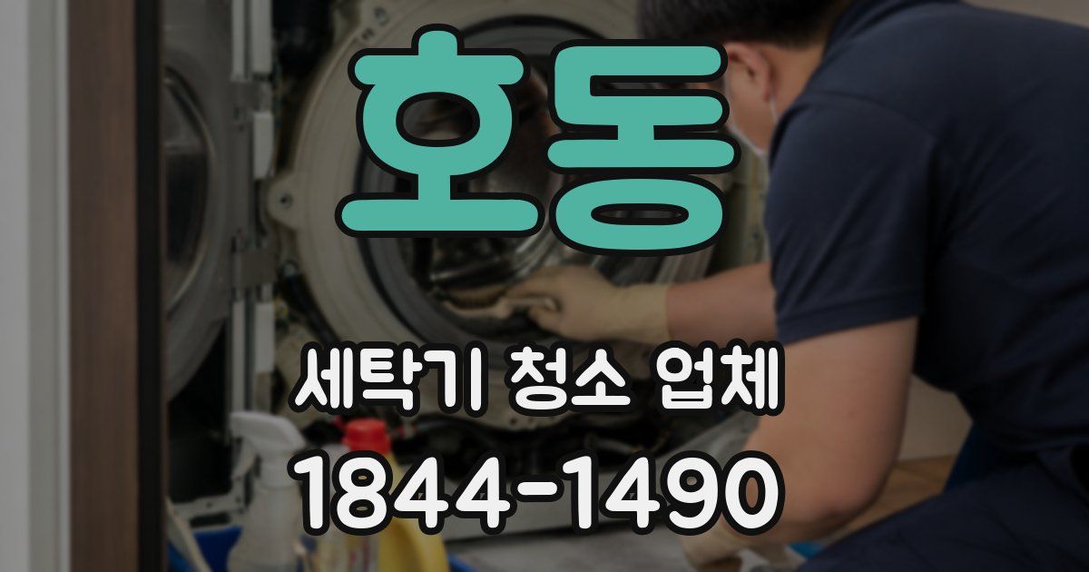 호동 세탁기 청소 업체