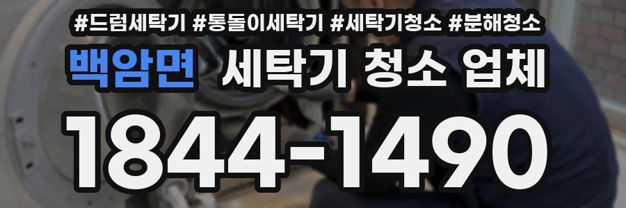백암면 세탁기 청소 업체