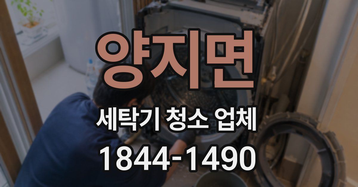 양지면 세탁기 청소 업체