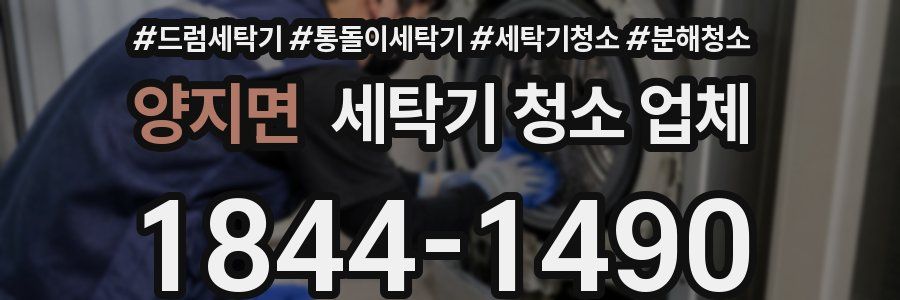 양지면 세탁기 청소 업체