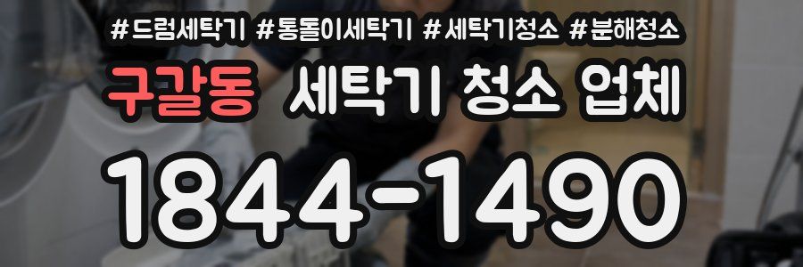 구갈동 세탁기 청소 업체