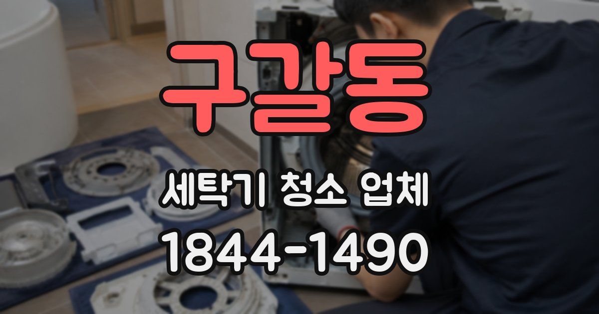 구갈동 세탁기 청소 업체