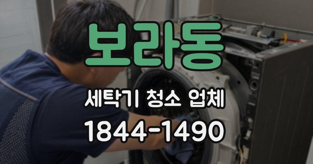 보라동 세탁기 청소 업체