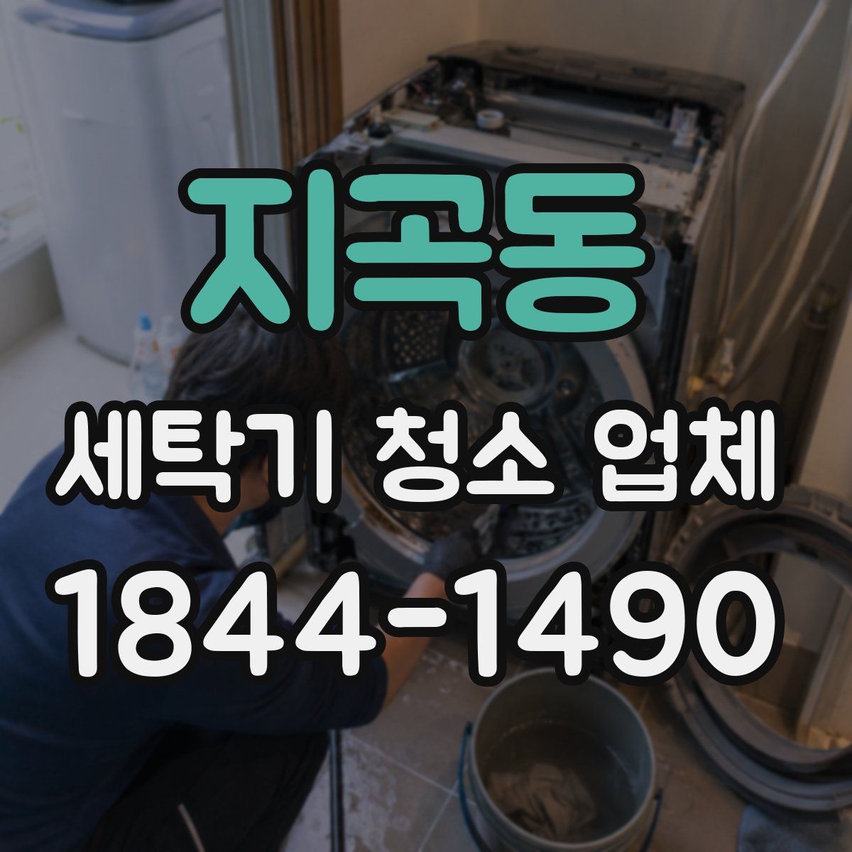 지곡동 세탁기 청소 업체
