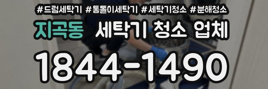 지곡동 세탁기 청소 업체