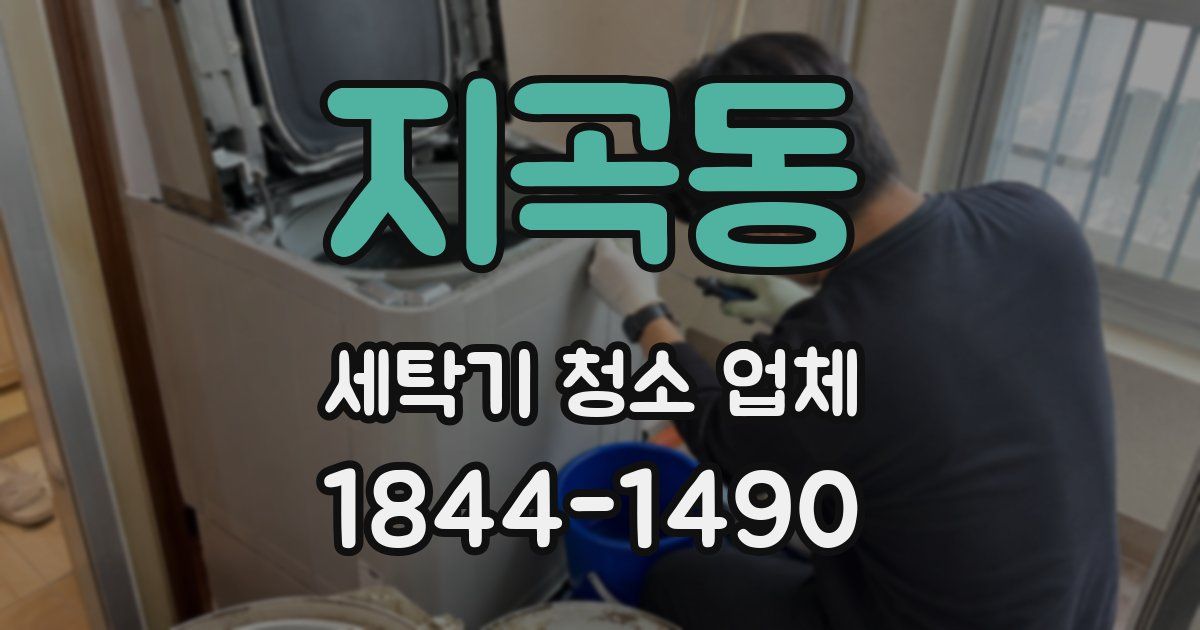 지곡동 세탁기 청소 업체