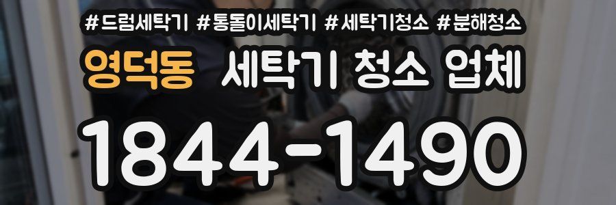 영덕동 세탁기 청소 업체